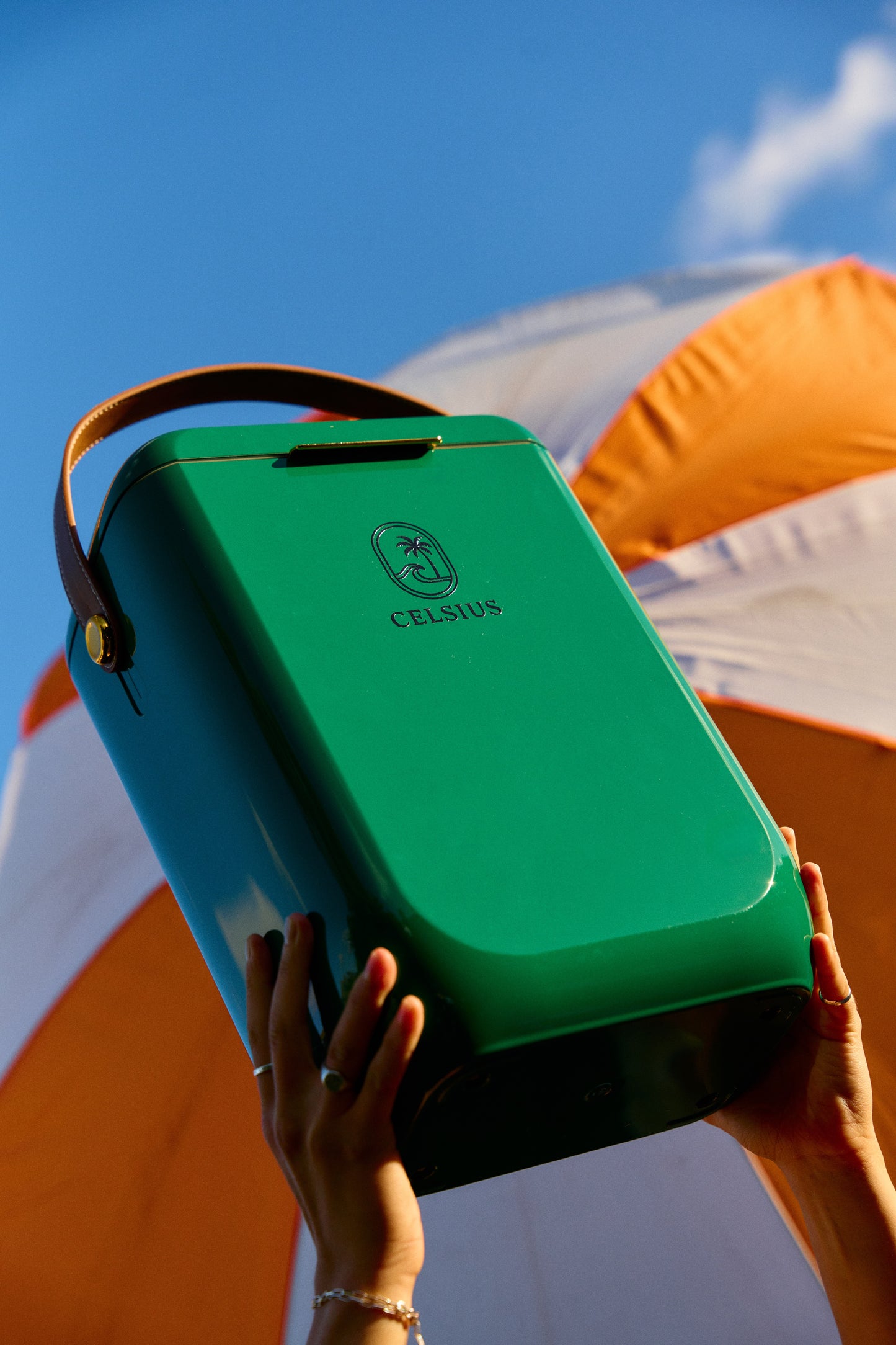 Celsius 10L Cooler – Premium Design. All-Day Ice.