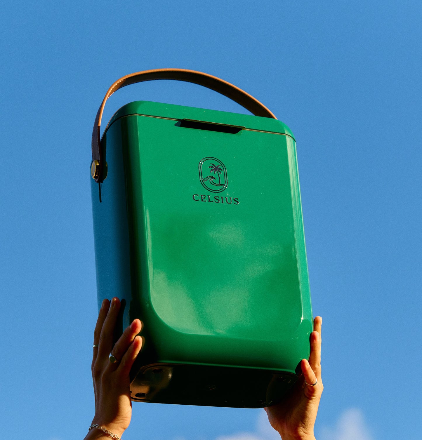 Celsius 10L Cooler – Premium Design. All-Day Ice.